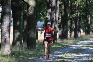 2006